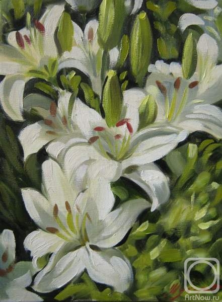 ������� ������ �� ������. ������ �������. ����� �����