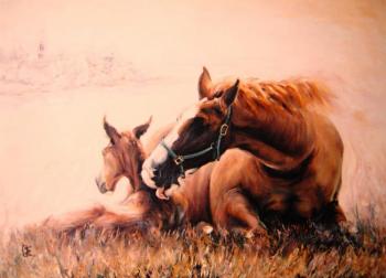 Warmth of the native land