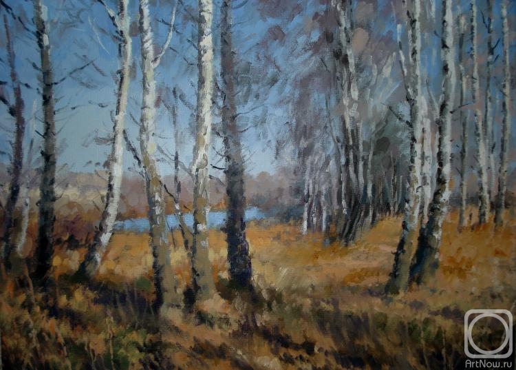 ������� ������ �� ������. ���������� �������. ��������� ����� ����