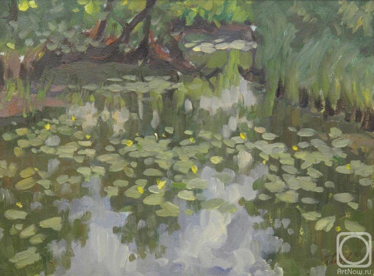 Platov Evgeniy. Pond. Water lilies
