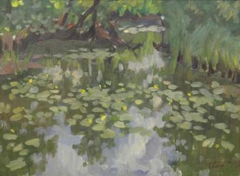 Pond. Water lilies. Platov Evgeniy