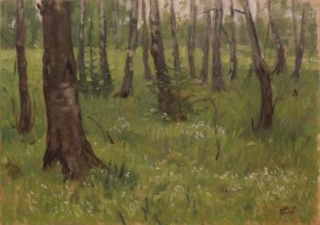 Birch Grove. Platov Evgeniy