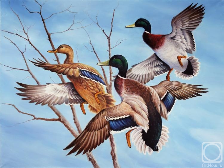 ������� ������ �� ������. ������ �����. ����