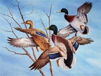 ������� �����