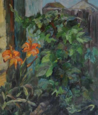 ������� ���� �����