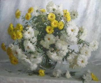 Chrysanthemums. Saprunov Sergey