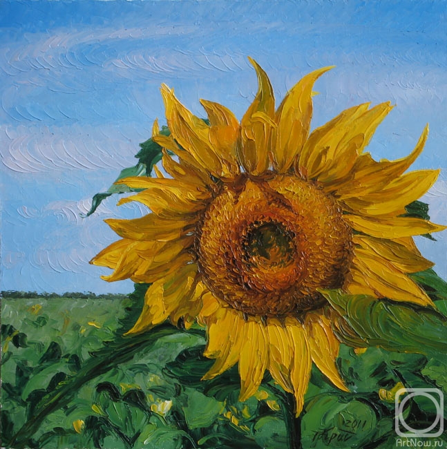 Krasovskaya Tatyana. Sunflower