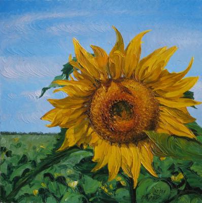 Sunflower. Krasovskaya Tatyana