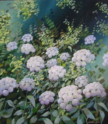 ������� ������� ������