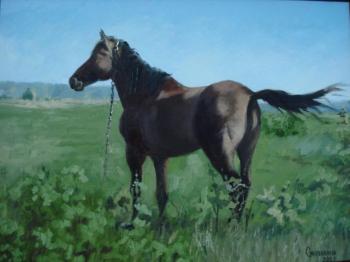 ������� ��������� �����