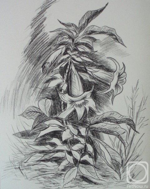 �������. �������� ������. 511 (������ ������)