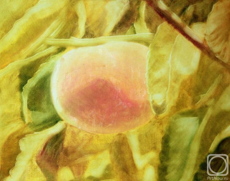 ������� ������ �� ������. ���������-������������ ������. ��������� ������