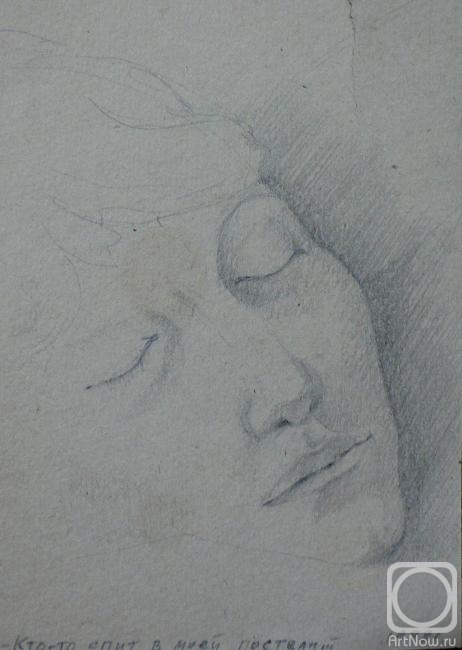 Rogov Vladimir. Someone is sleeping in my bed