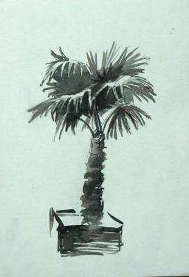 ������ ���������� (�����). ����� ��������