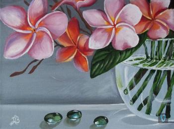 ������� ����������