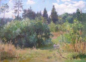 ���� (������ ����� �����). ���� ������