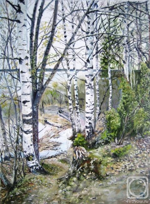 Vankhonen Alexey. Birch trees on the shore