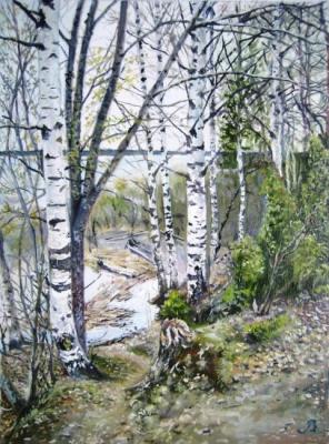 Birch trees on the shore. Vankhonen Alexey