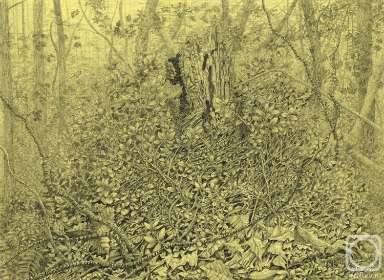 �������. ��������� ���������. ����������