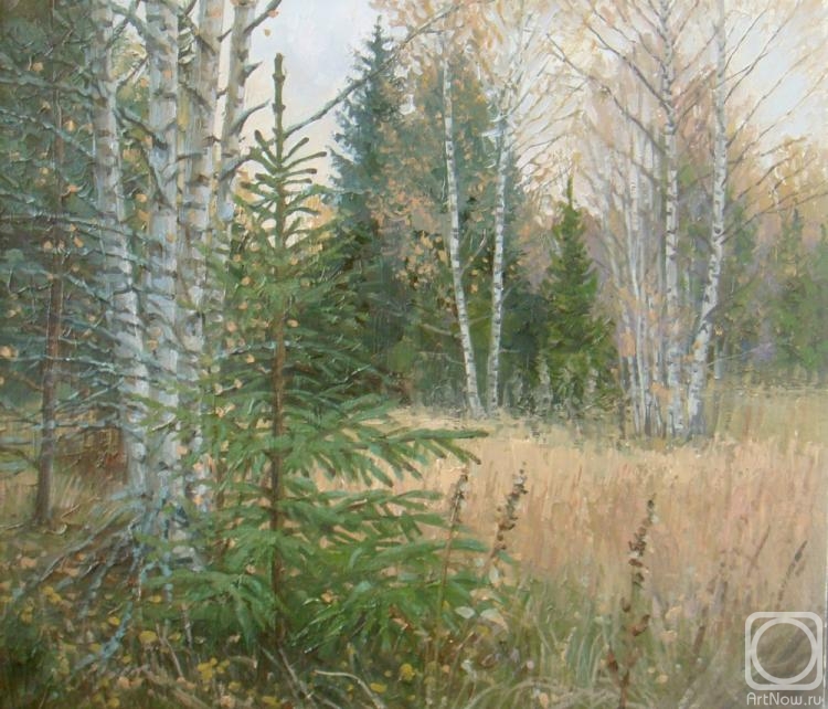 ������� ������ �� ������. ��������� ���������. ������� �����