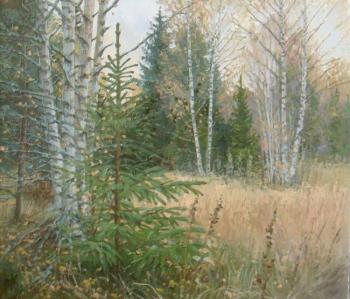 ������� �������� �����