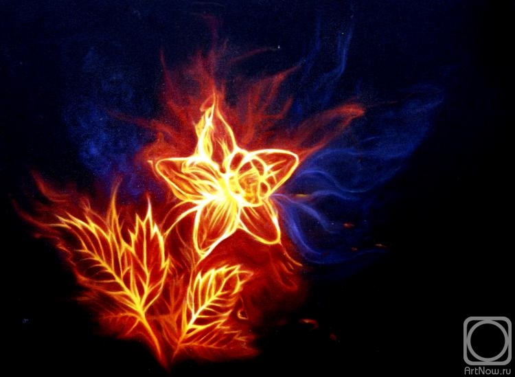 ������� ������ �� ������. ��� ���. �������� ������