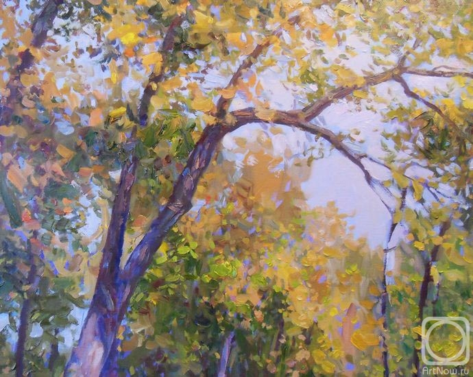 ������� ������ �� ������. ������� ��������. ������� ������ � ������� �������� (��������)