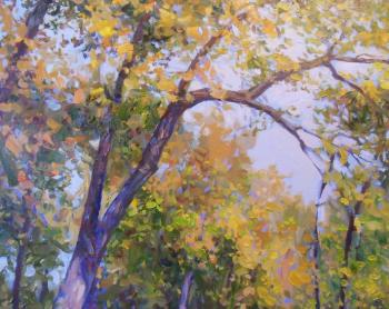 ������� ������ � ������� �������� (��������). ������� ��������