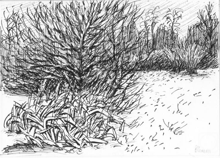 �������. ��������� ��������. ���������