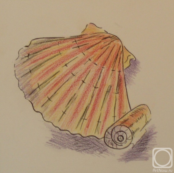 Lukaneva Larissa. 520 (Shells)