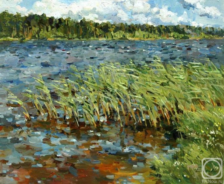 ������� ������ �� ������. ������ �����. �������� ����