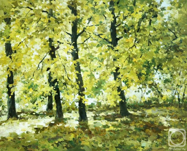 ������� ������ �� ������. ������ �����. ���� � ��������