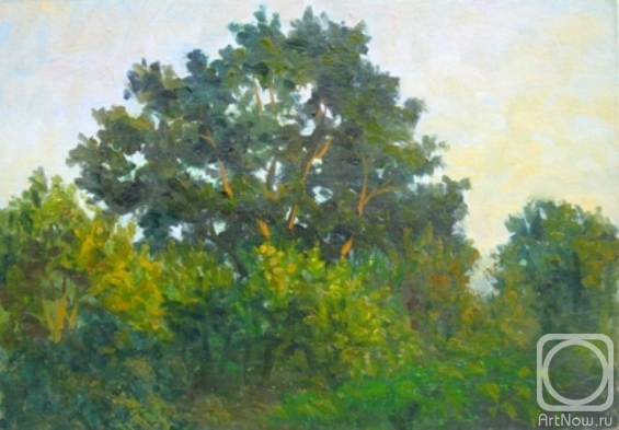 Bravkov Vladimir. Evening. Oak
