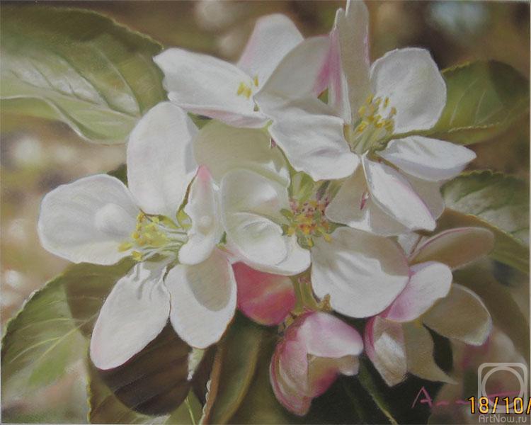 Kryukovskiy Aleksey. Petals of an apple-tree