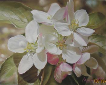 Petals of an apple-tree