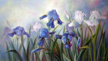 Bushes of irises