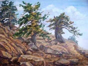 ������� ���������� ������� (����)�