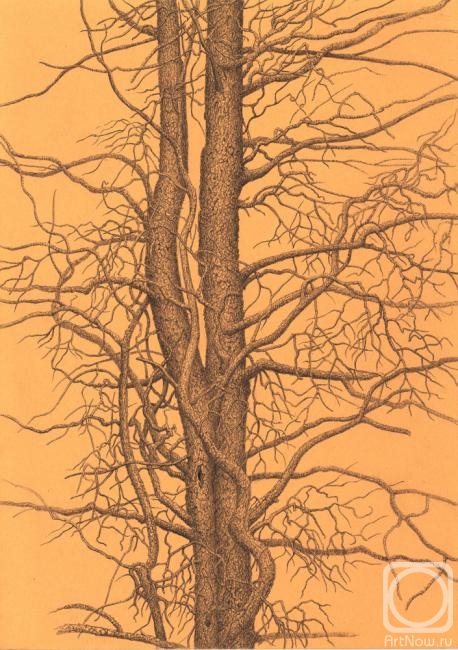 �������. ��������� ���������. ������� �����