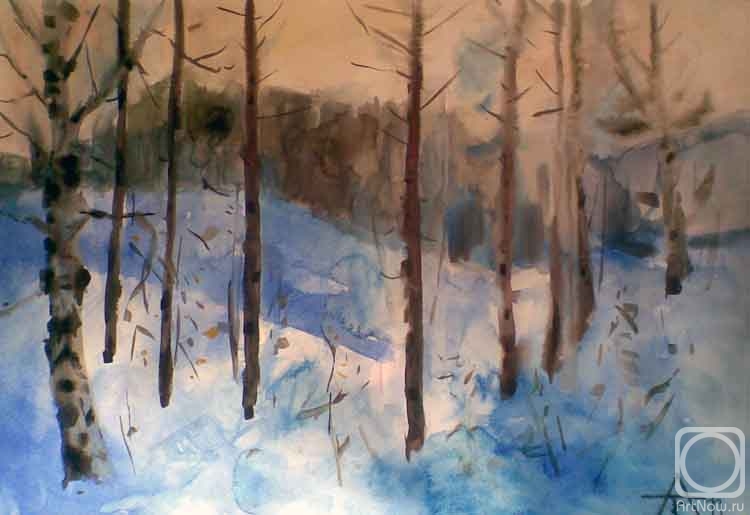 Knecht Aleksander. Untitled