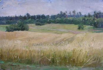 Landscape in Russia (Kostroma district). Kimm Ilmar