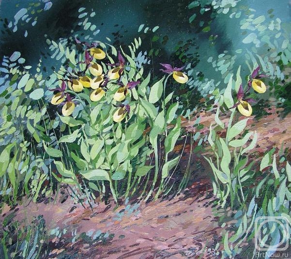 Paikule Arija. Orchids