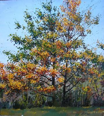 ������� ���������