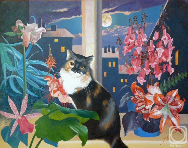 �������. ������� �������. ���� � ������