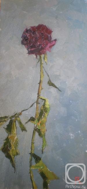 �������. ���������� �������. ������ ����