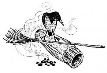 ������� ����������� �������� ������