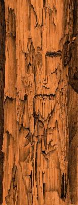 ����������� ���. ��������� ���������