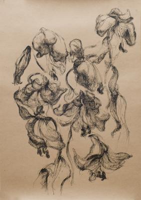 ������� ���������� �����