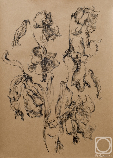 �������. ��������� ��������. ��������� ����� (2)