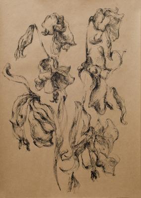 ������� ���������� ����� (2)�