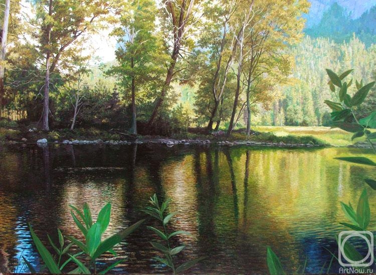 ������� ������ �� ������. ��������� ������. ������